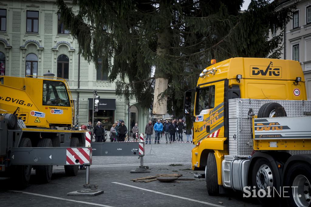 Novoletna smreka v Ljubljani Prešernov trg