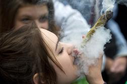Prva država v EU legalizirala marihuano za osebno uporabo #video