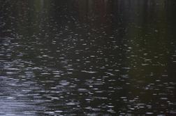 Popoldne plohe, lahko tudi kakšna nevihta, reke se umirjajo