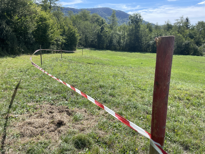 Ob progi med Ilirsko Bistrico in Šembijami je urejena pešpot za obiskovalce, kjer je treba zato napeti več kilometrov varnostnih trakov. | Foto: Gregor Pavšič