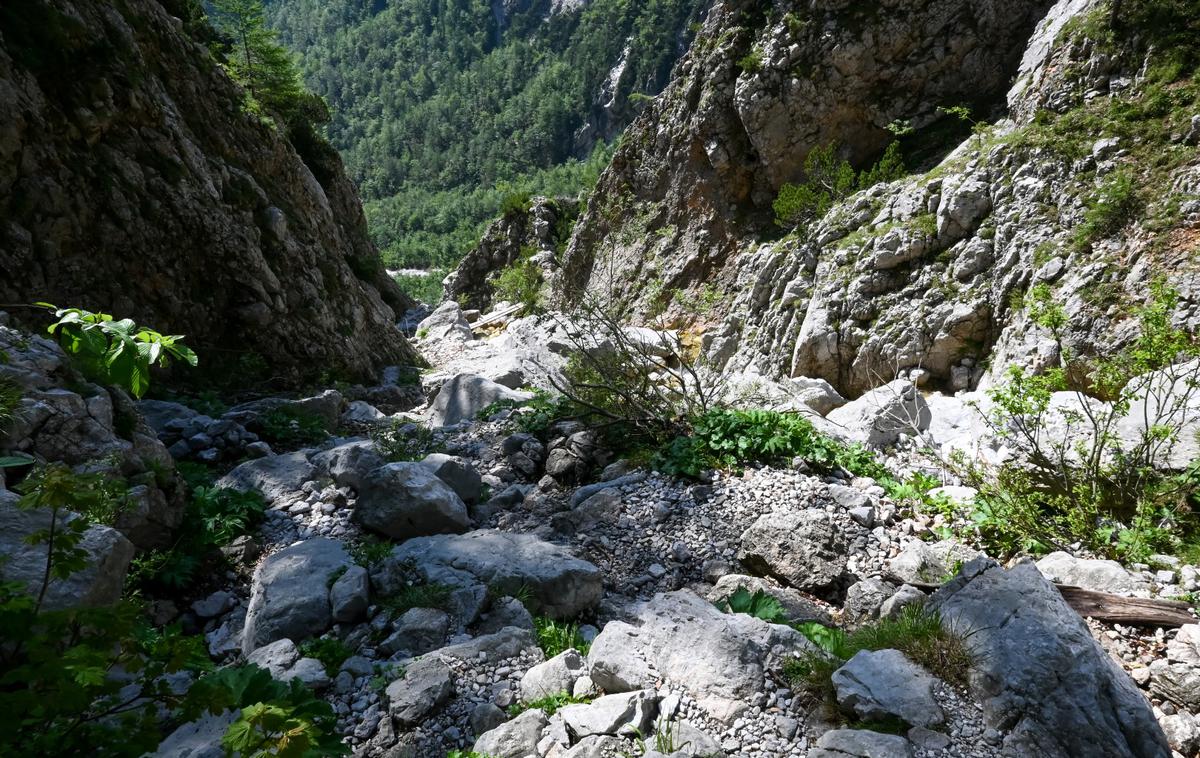 Logarska dolina Rinka Okrešelj | Foto Matej Podgoršek