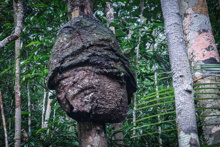 Argentina in Brazilija | Foto: K. M.