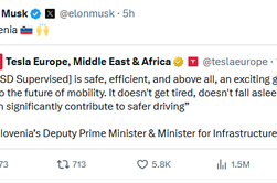 Elon Musk navdušen nad odločitvijo Slovenije