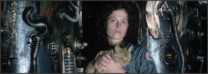Med vrnitvijo na Zemljo posadka medzvezdnega rudarskega plovila Nostromo preiskuje signal na pomoč, ki ga oddaja nezemeljska razbitina na pustem planetu. Nazaj na ladjo nehote prinesejo nezemeljsko bitje z nasilnim in smrtonosnim nagonom po preživetju. Z oskarjem za najboljše posebne učinke nagrajena ZF-grozljivka Ridleya Scotta je med igralsko elito izstrelila Sigourney Weaver in nam pokazala, da nas v vesolju nihče ne sliši kričati. • V videoteki DKino.

 | Foto: 