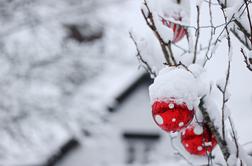 Meteorologi napovedujejo: tolikšna je možnost, da bo božič bel