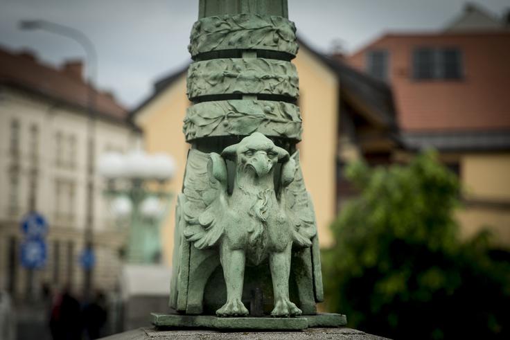 Grifoni na Zmajskem mostu | Foto: Ana Kovač