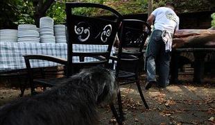 Top gostilne 2011 – Najlepši vrtovi, dvorišča in terase