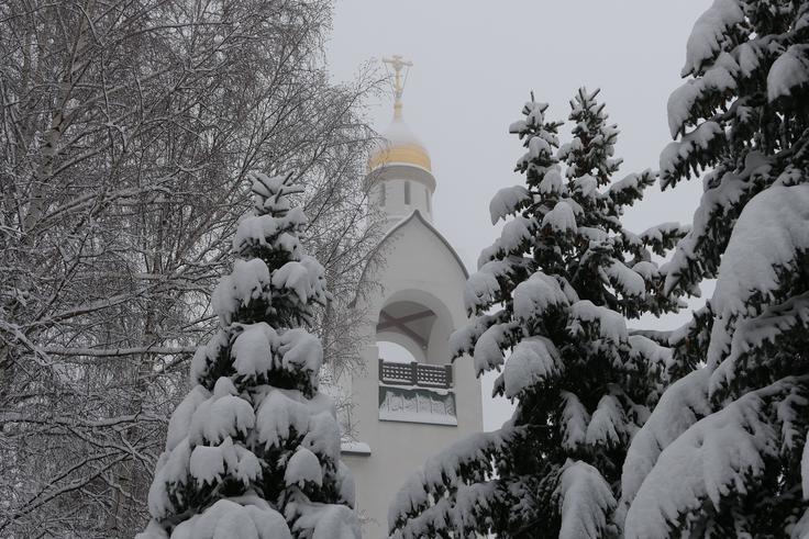 Zima, cerkev, prazniki, religija, božič, smreke, pravoslavna cerkev, | Foto: Shutterstock