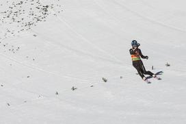 Planica 2019 - ekipna tekma (sobota)