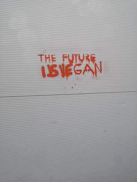 Pro-veganski grafiti