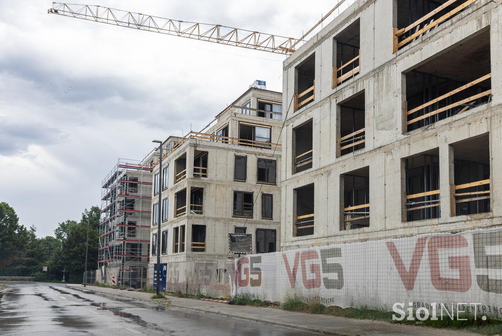 Bežigrajska petka, avgust 2025