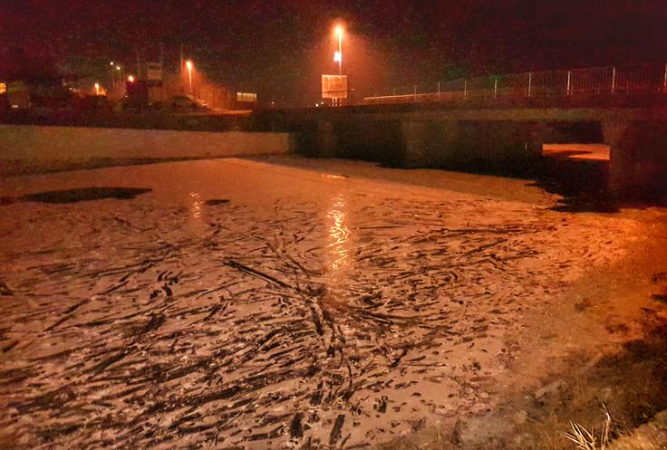 Zaradi izjemno nizkih temperatur so zamrznili številni potoki in reke. Zaledenela je tudi Kamniška Bistrica pri Viru. | Foto: 