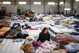 shod, Novi Sad, protest, Srbija