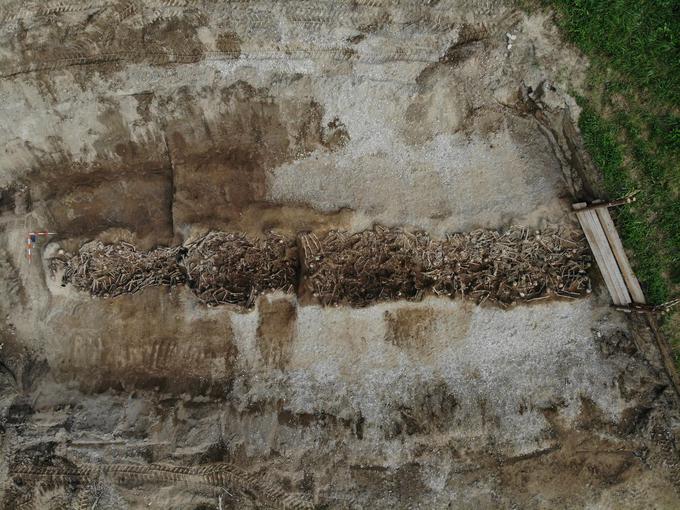 V raziskanih dvajsetih metrih protitankovskega jarka v Mostecu so bile odkrite tri skupine žrtev z vsaj 276 umorjenimi. Med njimi je bilo več kot dvajset žensk, poudarja Dežman. | Foto: Uroš Košir