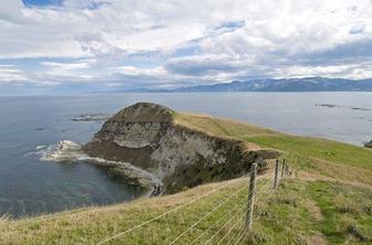 Kaikoura, mesto kitov in lahkih pohodov