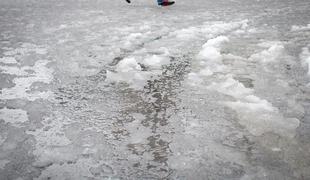 Na ledenih površinah oponašajte pingvine (video)