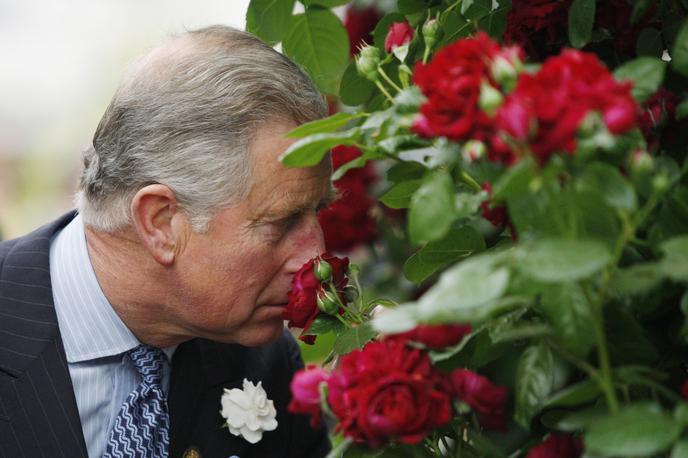 princ Charles | Foto Reuters