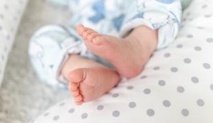 Uničenih na stotine vzorcev Biobanke