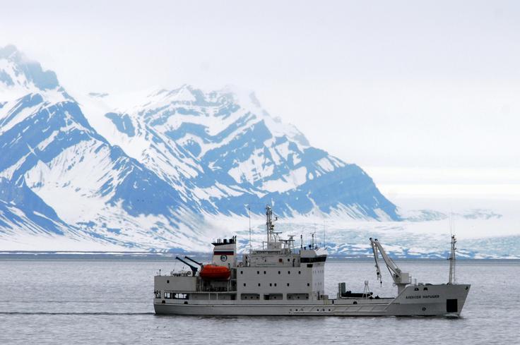 Semena do otočja Svalbard, ki leži približno 1.300 kilometrov južneje od severnega pola, pridejo po zraku ali z ladjo.  | Foto: Reuters