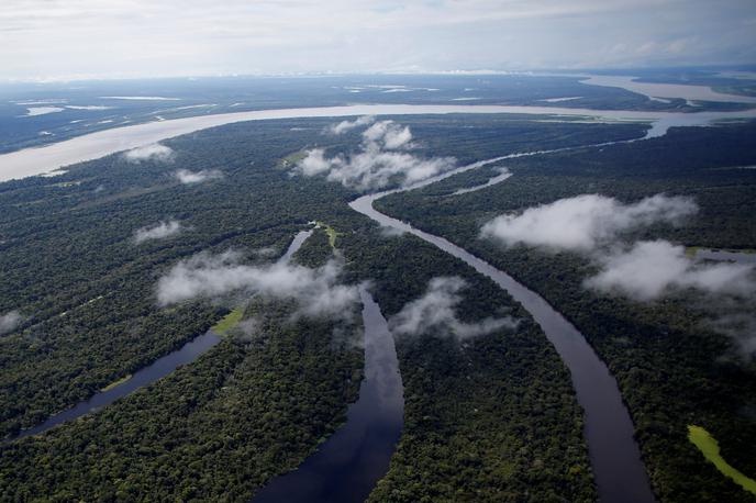 Amazonija | Celotno Amazonijo trenutno ogrožajo številni požari. Po oceni okoljevarstvenikov večinoma kmetje zažigajo že posekane površine, da bi pridobili pridelovalno zemljo. V trenutno sušnem obdobju ognjeni zublji zajamejo še nedotaknjene gozdne površine. Brazilski predsednik je bil nedavno deležen mednarodnih kritik zaradi podpore gospodarski rabi deževnega gozda, ki ima pomemben vpliv na podnebje po svetu. | Foto Reuters