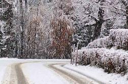 Gregorčič: Sneženje se šele dobro začenja #animacija