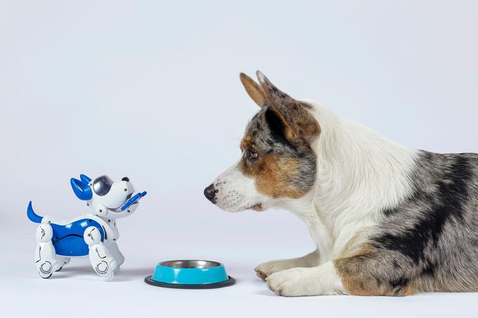 pes robot | Foto: Shutterstock