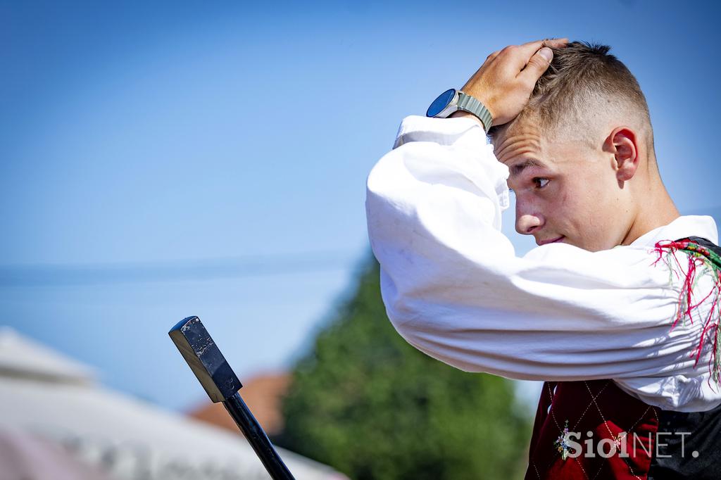 Posavsko štehvanje