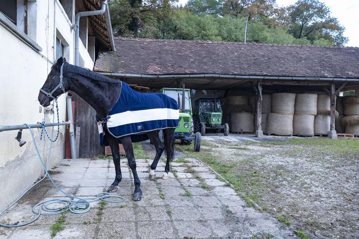Center se nahaja v neposredni bližini avtocestnega priključka Domžale in je od Ljubljane oddaljen približno 15 kilometrov. | Foto: Ana Kovač