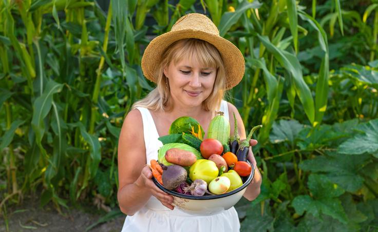 vrt vrtnarjenje vrtičkar | Foto: Shutterstock