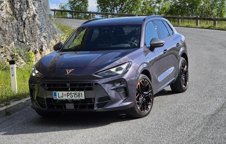 Cupra je imela glede na lansko povprečje neuspešen začetek novega leta. | Foto: Aleš Črnivec