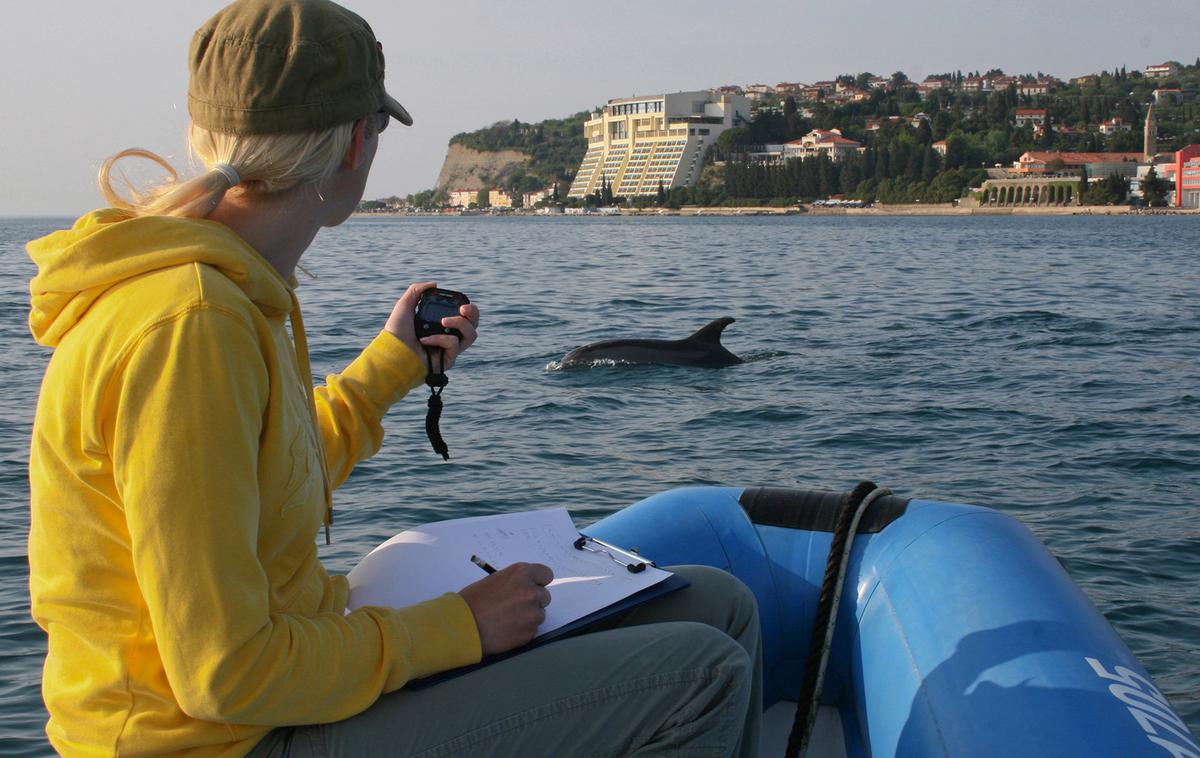Coca Cola Vedno podpiraj dober namen | Društvo Morigenos je bilo nagrajeno za za raziskovanje delfinov v slovenskem morju.