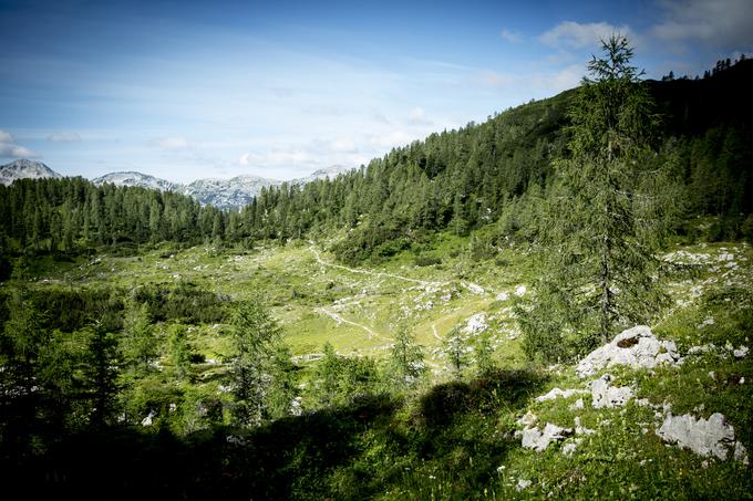 Planina Dedno polje, gore | Foto: Ana Kovač