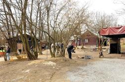 Celjska občina selitev Romov v Trnovlje pričakuje v roku pol leta