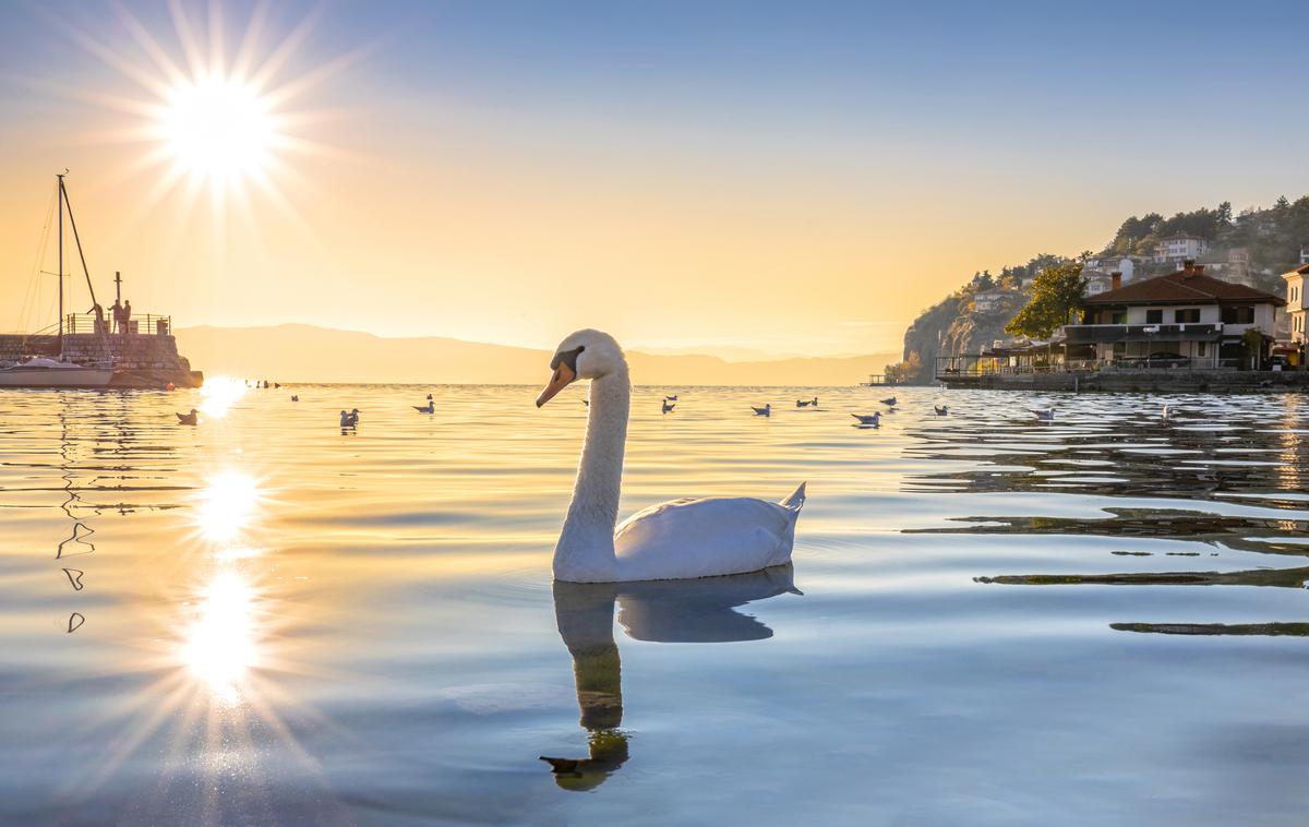 Ohrid, Ohridsko jezero | Foto Shutterstock