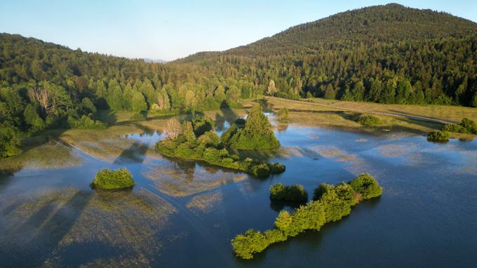 Zaradi obilnih padavin v preteklih tednih je zalilo Dolenjevaško polje v občini Ribnica. | Foto: Meteoinfo Slovenija