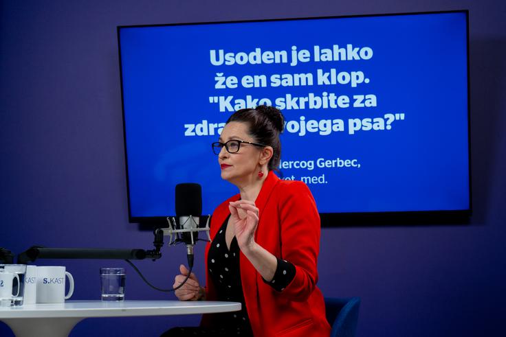 Zaradi daljših sezon parazitov strokovnjaki priporočajo, da lastniki zaščito za svoje ljubljenčke uporabljajo skozi vse leto. | Foto: Liam Toni Šironjič