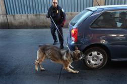 Mamilarski kartel razpisal nagrado na glavo policijskega psa