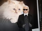 Karl Lagerfeld, mačka Choupette
