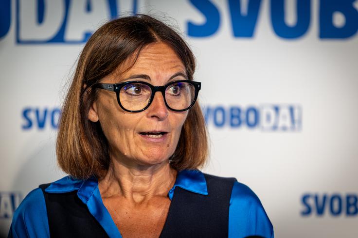 Poslanka Svobode Nataša Avšič Bogovič | Foto: Gaja Hanuna
