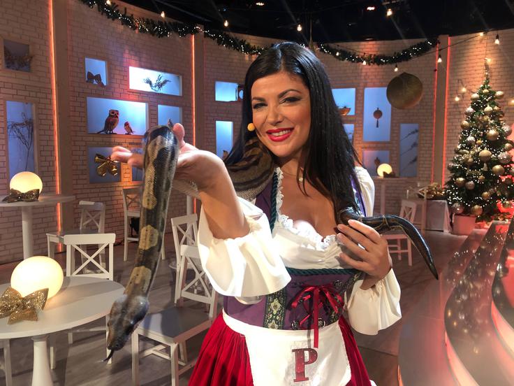 Voditeljica Jasna Kuljaj in udav Arax v oddaji Pri Črnem Petru | Foto: 