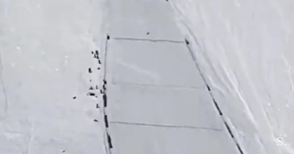 73c825c0cb89c93ce28b-thumb-rjoju-kobajas