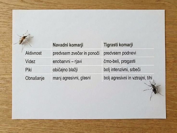 Tigrasti komarji so bolj aktivni, prilagodljivi in pogosto tudi bolj nadležni kot navadni. | Foto: Spar Slovenija d.o.o.