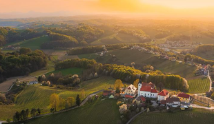 Slovenska Provansa - Prlekija v času martinovanja vas bo popolnoma prevzela