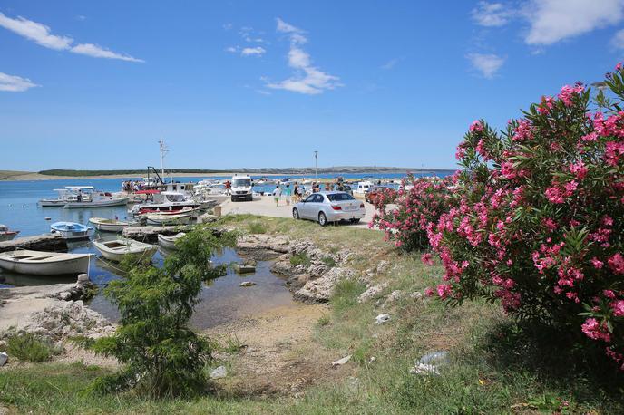 Povljana na otoku Pag | Izbruh nasilja je zmotil druge goste kampa. | Foto Pixsell