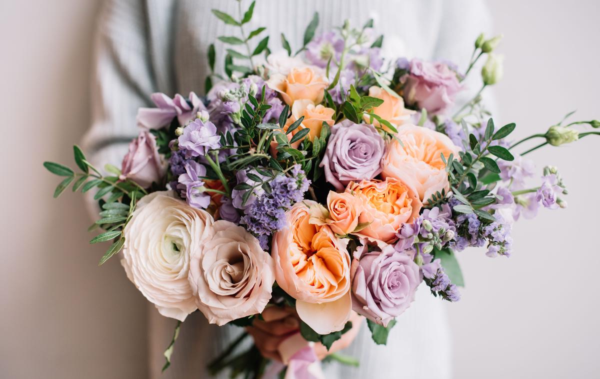 rože | Foto Shutterstock