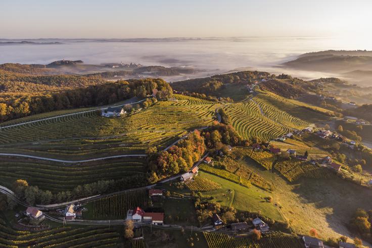 Haloze Jesenski pogled na vinograde ter na Zavrč | Foto: Vinorodna Štajerska