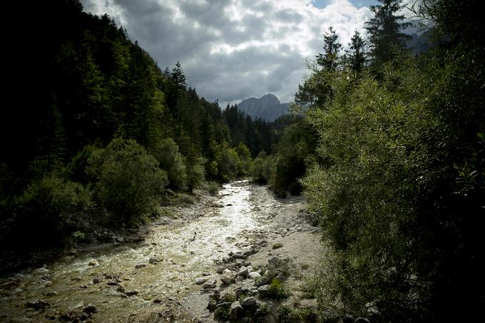 Na vrhuncu sezone v dolini Vrata naštejejo od 500 pa tudi do rekordnih dva tisoč vozil, razpolagajo pa le z okoli 200 parkirnimi prostori. | Foto: Ana Kovač