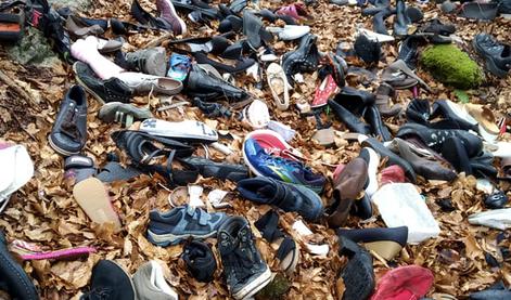 Ogorčenega sprehajalca v gozdu presenetili razsuti čevlji #foto #video