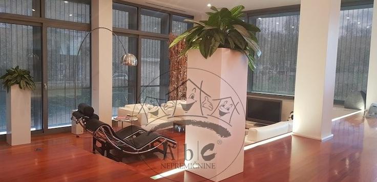 ABC nepremičnine | Foto: 