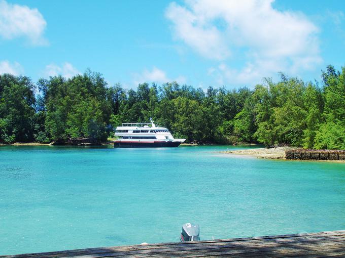 Na otočju Palau po zadnjih podatkih niso potrdili nobenega primera okužbe ali smrti, povezane s covid-19, se je pa država zaradi pandemije covid-19 odpovedala turizmu. | Foto: Getty Images